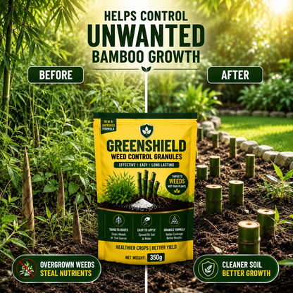 GreenShield Weed Control Granules | 🔥BUY 1 GET 1 FREE🔥