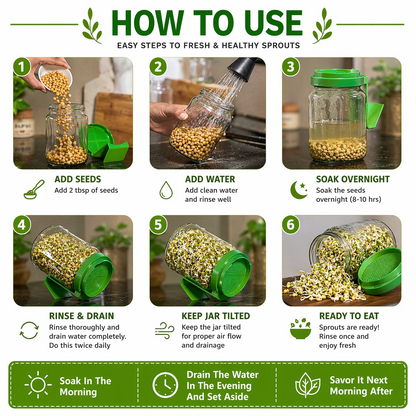 Glass Sprout Maker Set — Buy 1 Get 1 Free