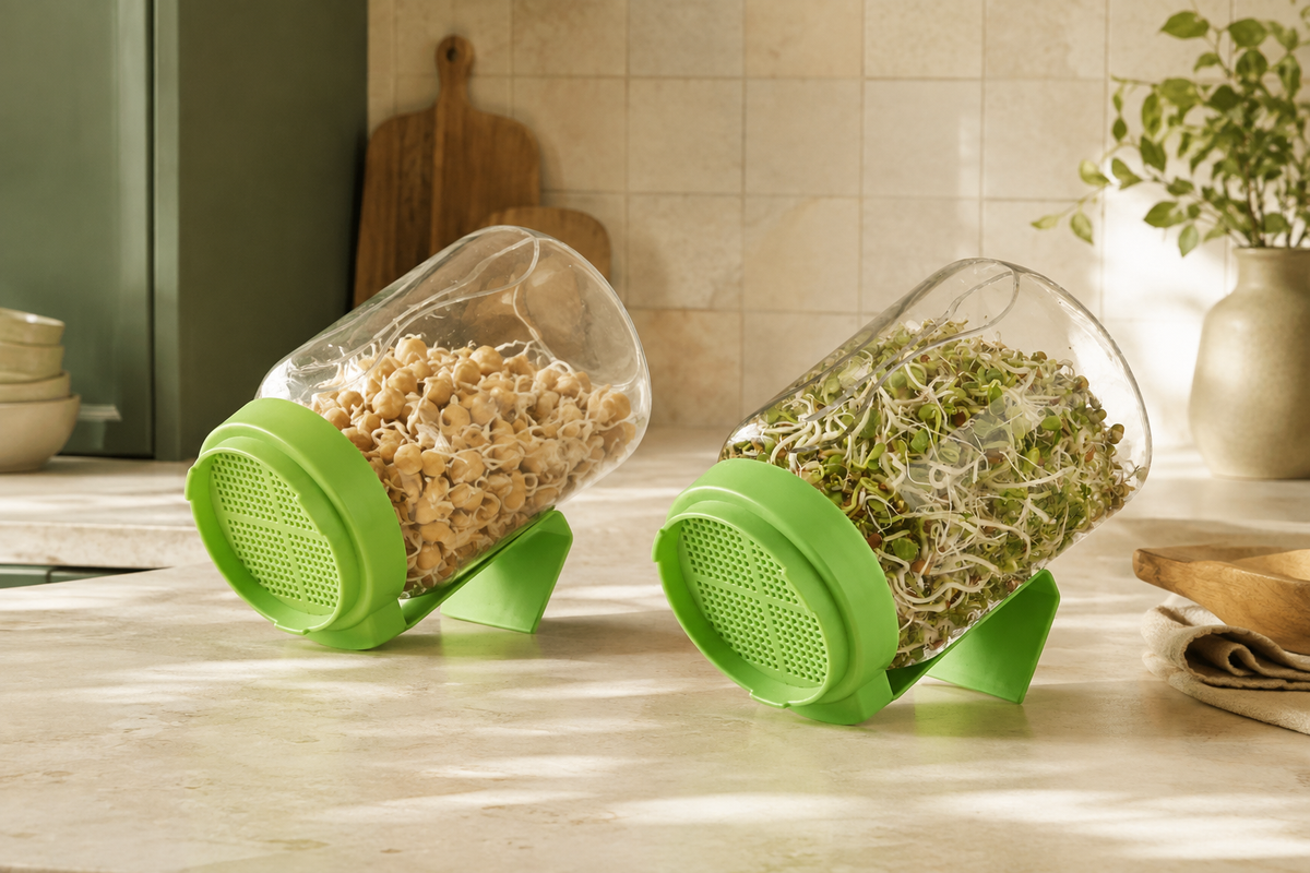 Two green-lid sprout jars on a warm kitchen counter; lifestyle illustration
